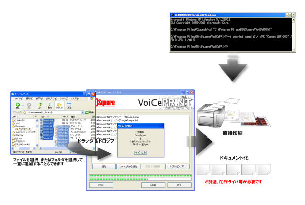 VoiCePRINT サーバー版