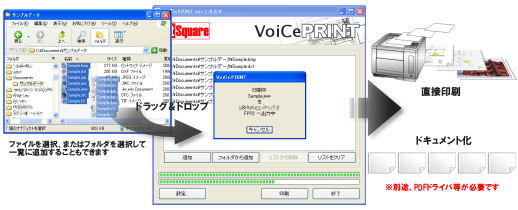 VoiCePRINT 標準版